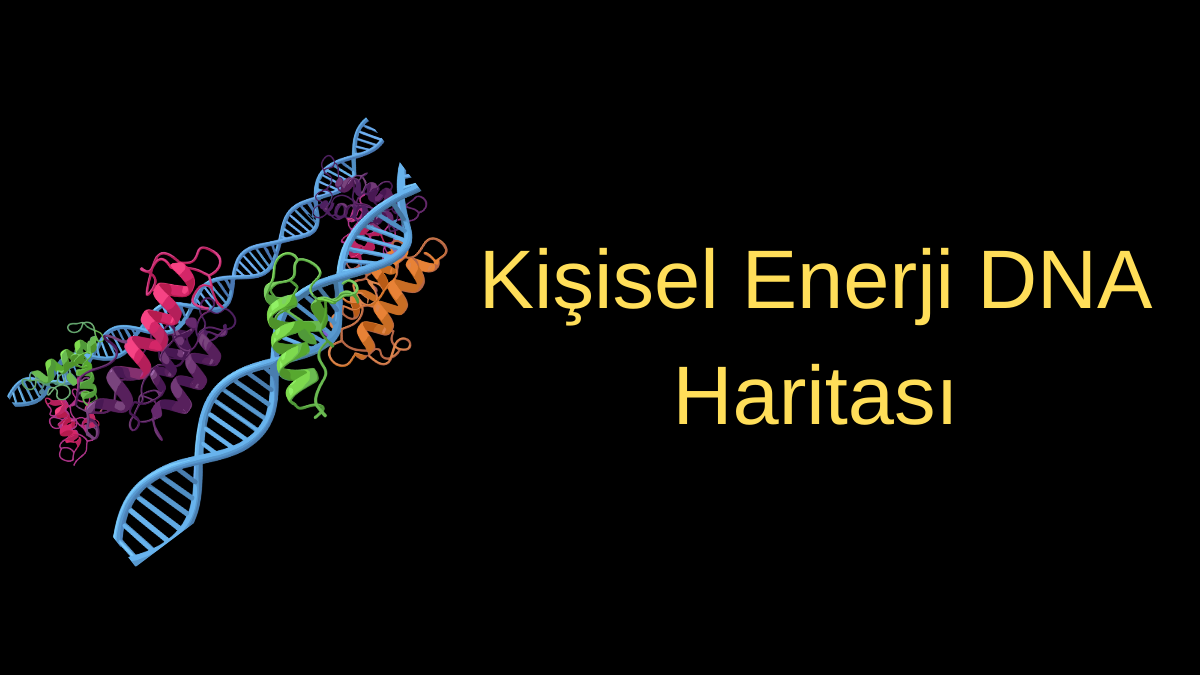 Kişisel Enerji DNA Haritası